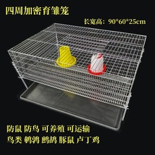 ���g���Bֳ�\ �p���r�u���r�Bֳ�\ݔ �Ӵּ��܃��|��\�p�T䓽z�\