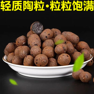 ���������@ˇ�����É|���B��͸�������������ˮ����������̼��