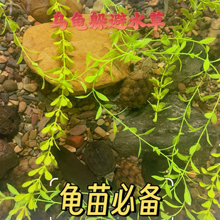 ��ˮ�����~���������������ҧβҧ������ˮ�B���������l��������