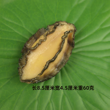 �����U�~������ؐ���ط۽z���r�������r�з�[���̈�Ӱҕ����