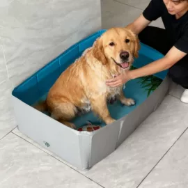 狗狗食具;狗狗玩具;狗狗清洁