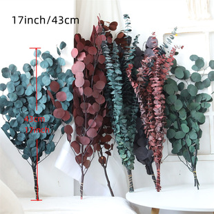 Cross-Border Popular Immortal Flower Eucalyptus Dried Flower Bouquet Apple Leaf Eucalyptus Leaf Decorative Dried Flower Bouquet