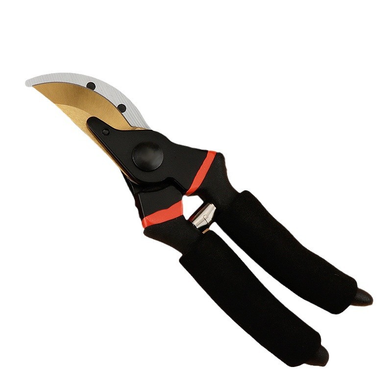 2024-12-08 20:43:30.jpg