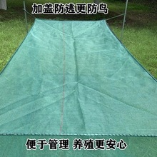 存折叠箱暂养网兜泥鳅养虾优质黄鳝小鱼养鱼吊笼鱼网鱼护特价清仓