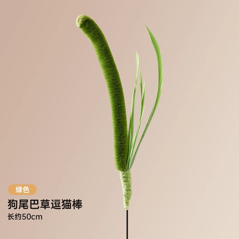 녹색 개 꼬리 잔디