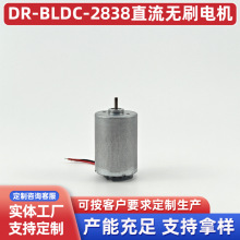 ���l����Ƽ����m���ߵؙC���ˌ���늙CDR-BLDC-2838ֱ���oˢ늙C