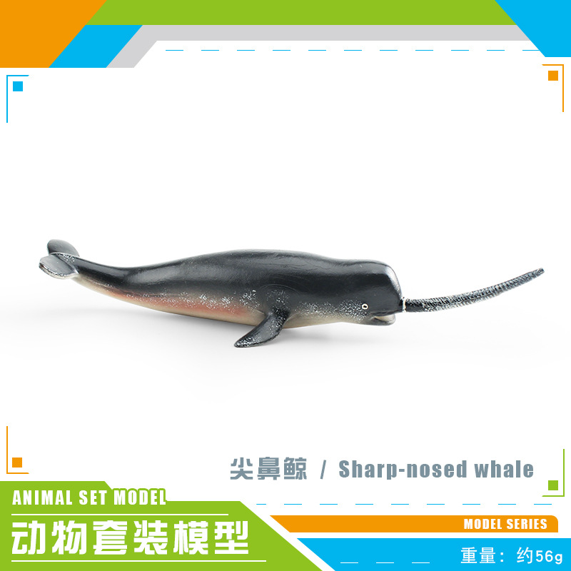 Transfronterizo simulación animal marino modelo dragón mágico gran tiburón blanco morsa nariz afilada ballena submarino biológico estático decoración juguete