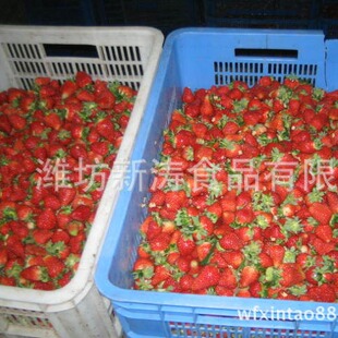 �ك���ݮ������Y�|���S�����깩؛��