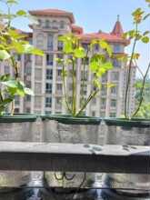 ����ճ�X����������������Ĥ�Ӻ�ˮ�����r��������Ĥ