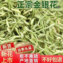 ���y������Ʒ�����që���y���ѹ�Ӣõ�廨�B��������_���в�ș��
