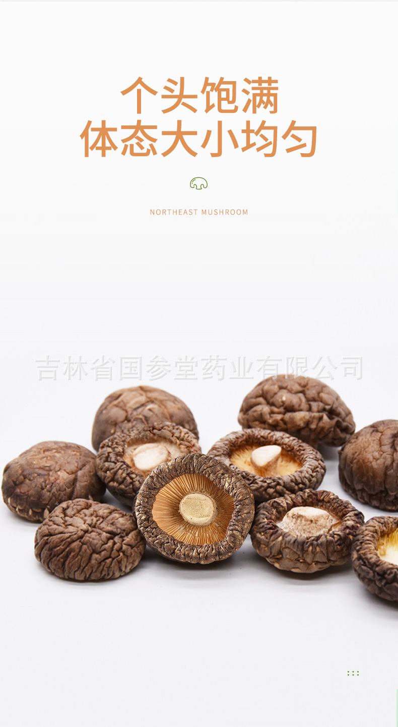 香菇_08.jpg