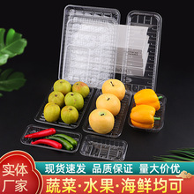 一次性塑料浅托盒生鲜保鲜无盖托盘PET透明果蔬打包盒1912批发