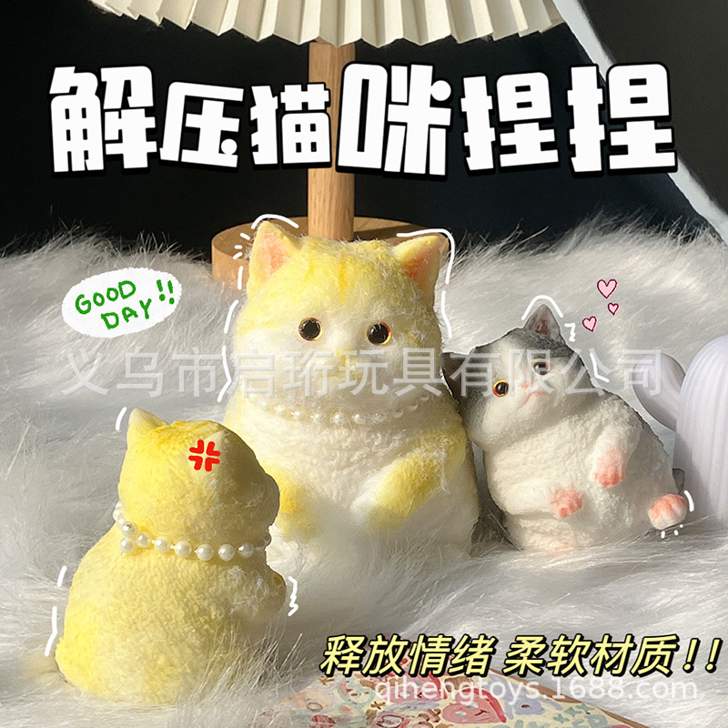 Super lindo gato gordo pellizco pellizco pelliz