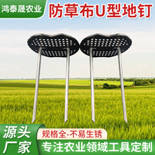 �S�����l���ݲ�U�͵�ᔸ�Ӳ�ȶ�Ҏ���̼䓽z���ݲ����Դ�^�S��