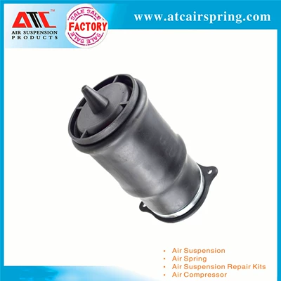 damping system Rear Gas Bag