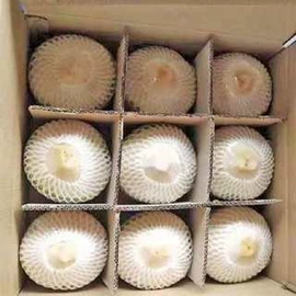 椰类果干;硬糖;烘焙原料