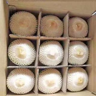 ��ƷҬ�ຣ���خaҬ��Ҭ��9���b�������rȥ��ƤҬ���ЋDˮ���S��