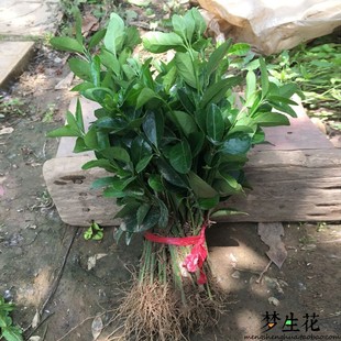 �ļ����ඬ�����������ľ�f����ͥԺ����������G�������