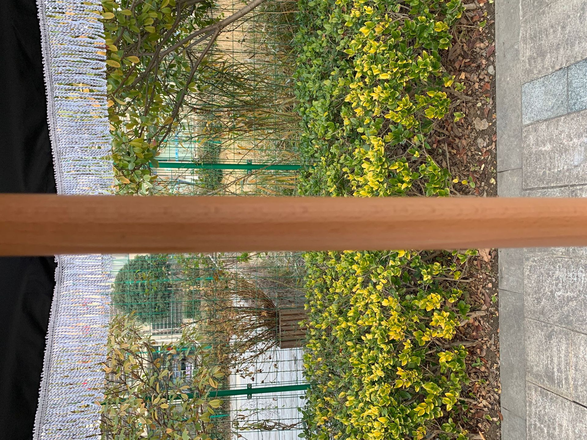 ff1615b6d7efd795299b5555d81452