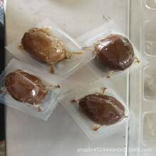 �A�ήaƷ����F ���ם{�� ճ�����ȮaƷ�ö�������Ĥ��հ��b�C