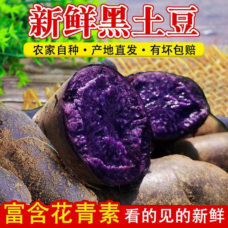 New Black Potatoes, Purple Large Potatoes, Black Beauty Potatoes, Purple-Skinned Purple-Fleshed Fresh Black Diamonds