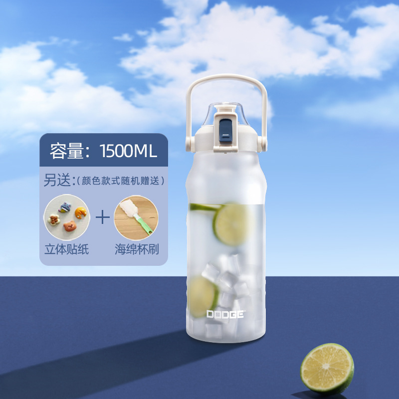 2025新款水杯大容量便携磨砂塑料杯子儿童吸管耐高温学生运动中式|undefined