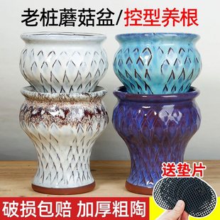 Fleshy Mushroom Pot Laozhuang Purple Sand Flower Pot Hot Pot Pot Ceramic Plate Large Diameter Balcony Household 60