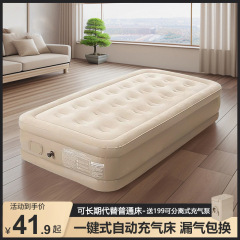 自动充气床垫打地铺双人家用午休睡垫户外露营帐篷折叠便携充气床