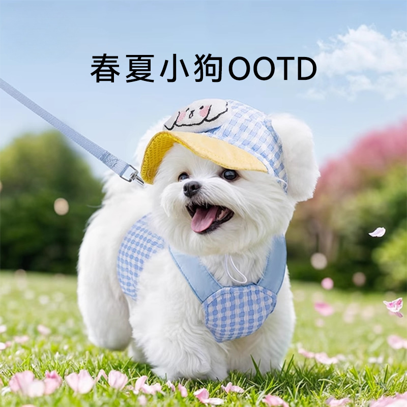 卡通小狗狗外出牵引绳胸背套装中小型泰迪猫咪防挣脱宠物用品绳子
