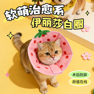 ���R�d����ɯ��Ȧ��ͨӡ�����ﱣ�o�� ���o��؈�����^��؈��Ȧ