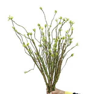 ����l��֦ ��֦�G�~ �������֦���滨�ٻ�ɭϵ�Ҿ��b�