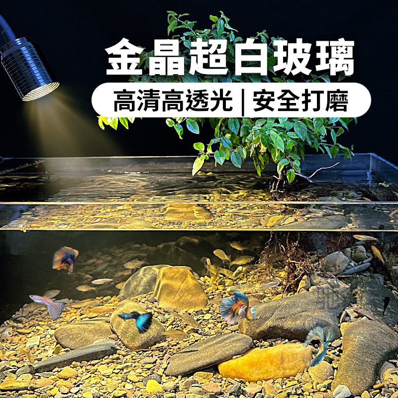 麓f原生溪流缸全套造景水族家用客廳桌面南美風超清加厚玻璃生態
