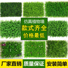 ֲͥԺ̨ڒGֲ󱳾Gwϼٲƺ