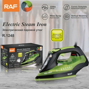 European gauge export household portable handheld steam iron high power 2200W ceramic soleplate electric iron