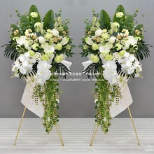 �_�I���@�ٻ������w�c��ӭ�e�b[���̈���䁙��������ػ��Gɫ