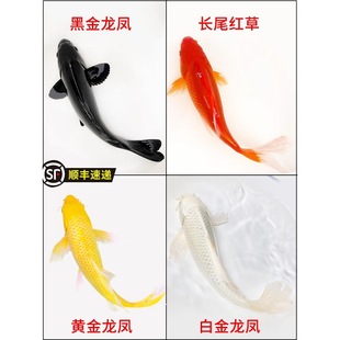 �Lβ��t�ݽ��~��ˮ�~��ˮ�~�^�p�~�\����ɫ�S���\���\�a�t�ݽ��~