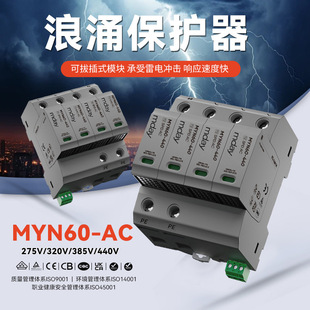 Cross-border surge protector lightning protector 2P three-phase 4p lightning arrester spd module 2P60KA