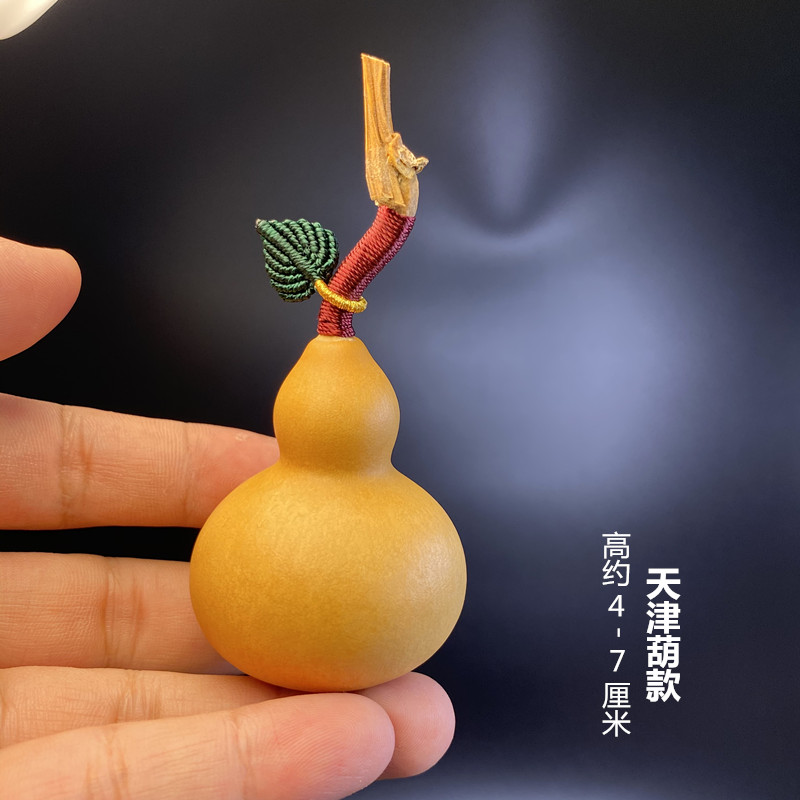 【6】천진 조롱박 + 잎