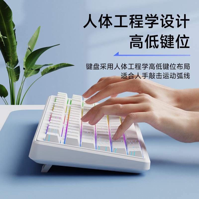 前行者V80无线键盘蓝牙三模侧刻机械手感电脑RGB办公游戏专用87键|undefined