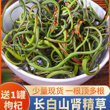 ��ѡ����ɽҰ�������������ݻ�ʯ�������ݻƽ���໽���Ʒ�ٿ췢