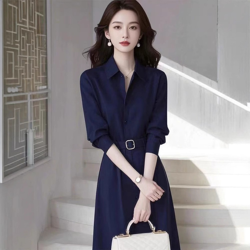 Spring French Temperament Socialite High-end Goddess Fan Light Luxury High-end Formal Occasion Blue Shirt Dress