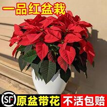 һƷ�t�����}�Q��ͥԺ�̨����ֲ���҃Ȼ����B���ļ��͏d��լ�Gֲ