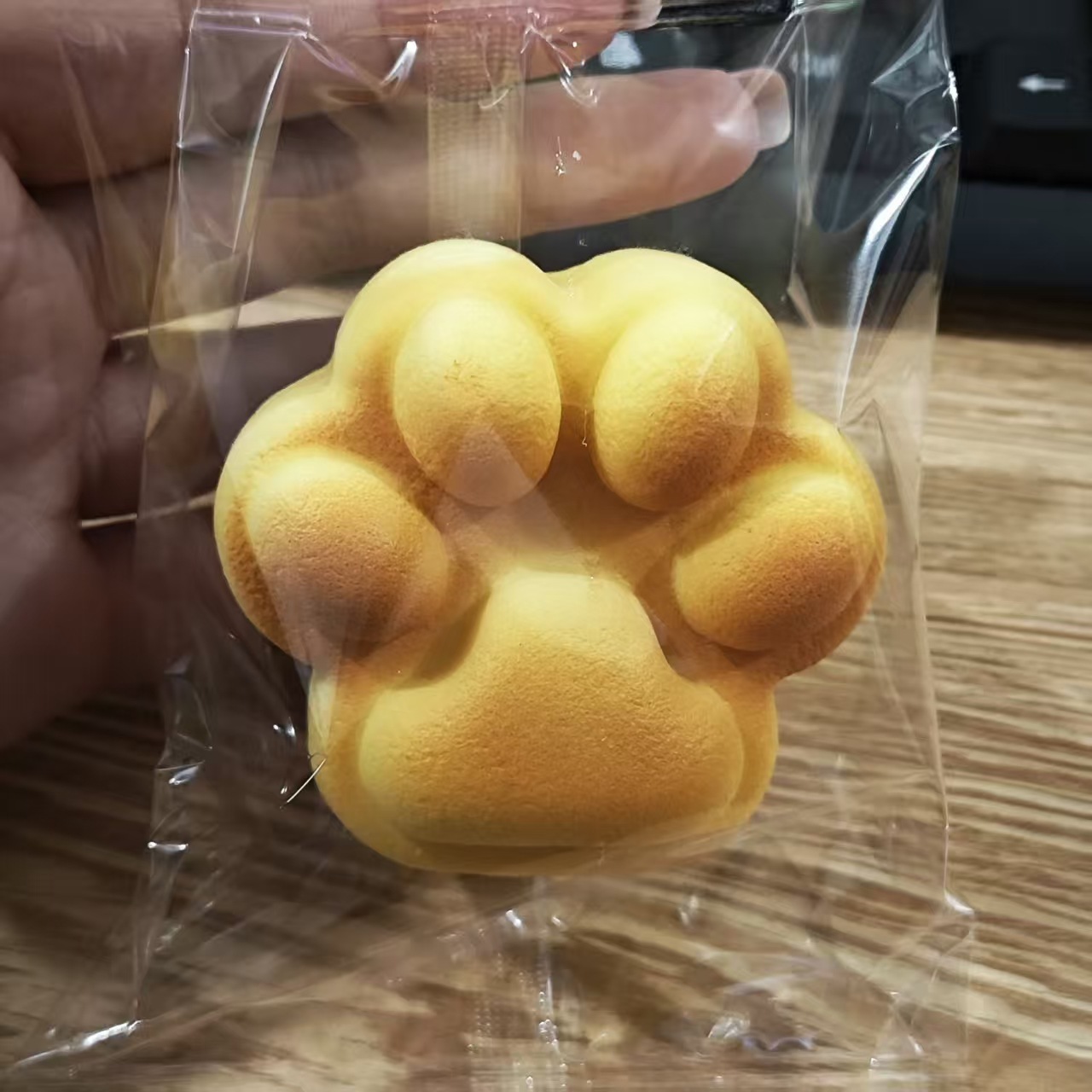 큰 고양이 발빵