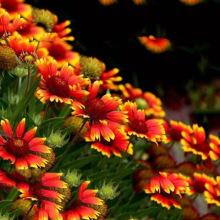 ���l��·�������a�������^�����ٻ��R���f��ǧ�t���������ܷN��