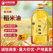 �����~���x������5L�{���ͼ������ô�Ͱ�bʳ���ͮ������r�����l