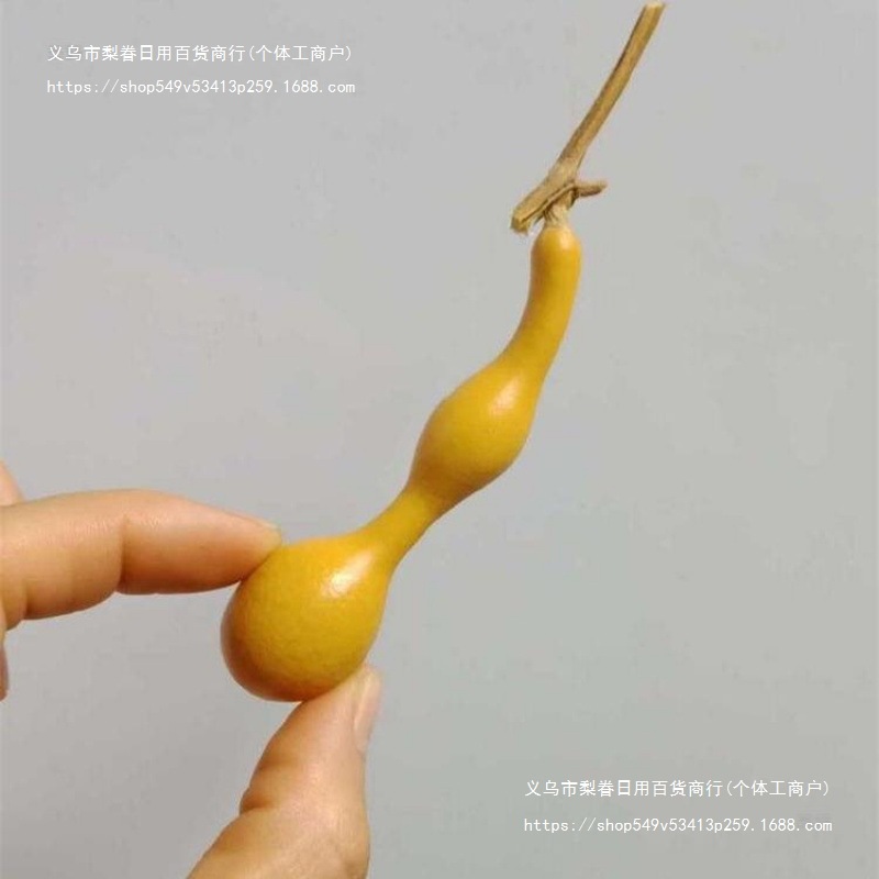 杆子直弓背蚂蚁天然文玩异形蚂蚁肚手捻葫芦手把件天津小葫芦缺货