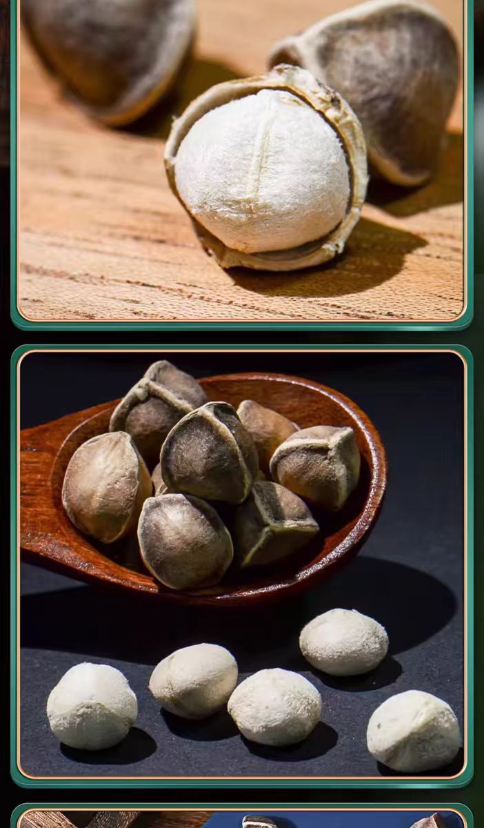 Moringa Seeds La Mu Zi 60g Jar or Bag Dried Seeds from Yunnan for Daily Herbal Use specifications