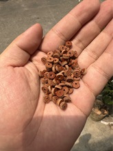 牛皮椰壳橄榄牛鼓隔片垫片金刚菩提星月子手串佛珠文玩饰品配饰