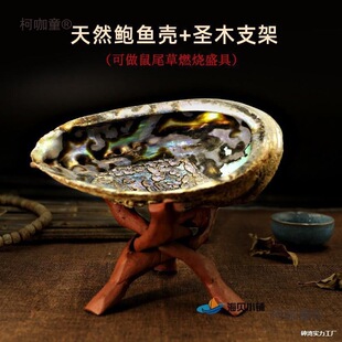 �~���羳�t���}ľ�ܻ��uë���b����ȼ����β��ʢ���ͶYƷ����̫��
