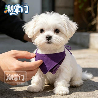 宠物项圈灯芯绒三角巾猫咪狗狗吃饭防脏围兜diy宠物拍照装饰围巾
